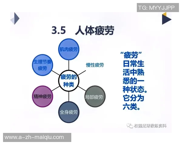 提升运动表现的秘密体育体能培训全攻略与实用技巧分享